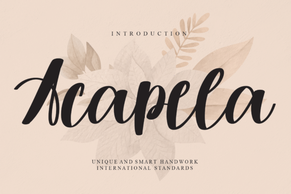 Acapela: A Sweet Script Font for Business Branding
