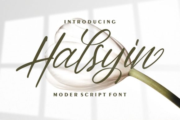 Halsyin Font: Elegant Script for Creative Makers