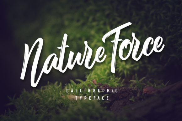 Nature Force Font for Business Branding